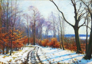Зимний лес
